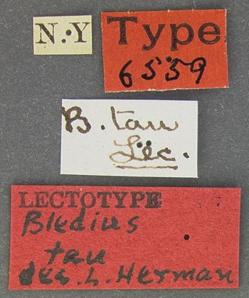 Media type: image;   Entomology 6559 Aspect: labels